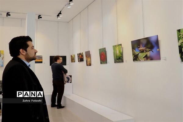 برپایی نمایشگاه عکس پیکسل در شیراز