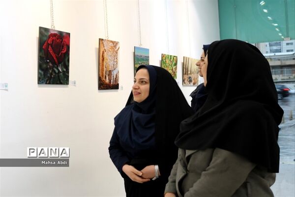 برپایی نمایشگاه عکس پیکسل در شیراز