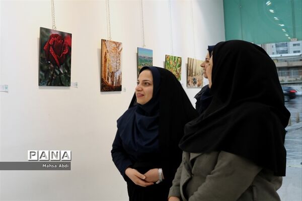 برپایی نمایشگاه عکس پیکسل در شیراز