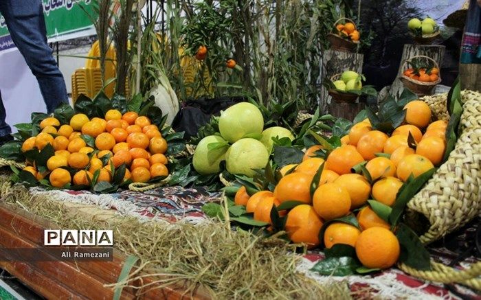 قائمشهر؛ میزبان چهارمین جشنواره تخصصی ملی مرکبات