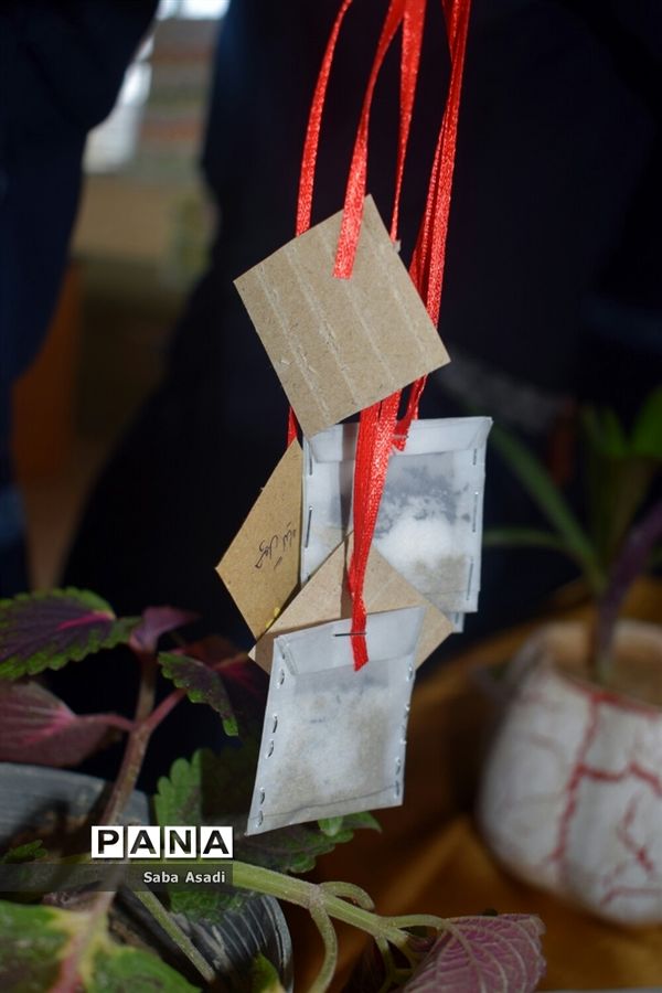 همایش گیاهان دارویی