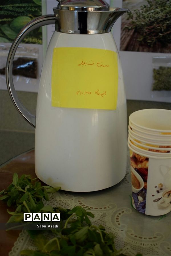 همایش گیاهان دارویی