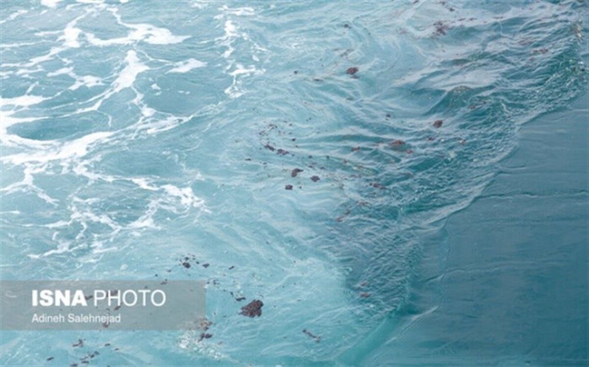آلودگی‌هایی که دست از سر خلیج‌فارس برنمی‌دارند
