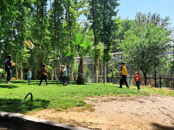 بازدید از باغ وحش ارم ،تجربه‌ای بی‌نظیر در دنیای شگفت‌انگیز حیوانات 