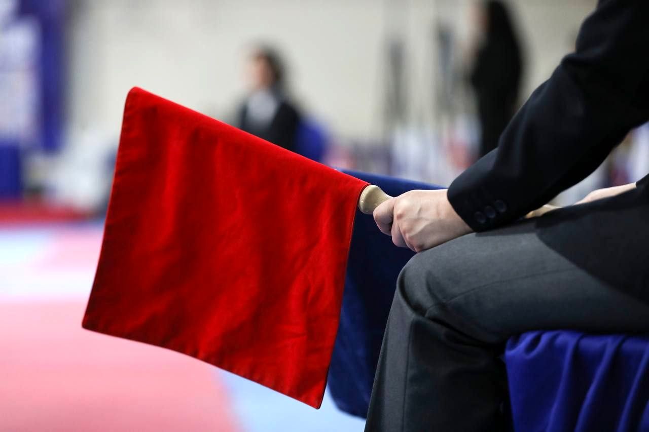 قضاوت سه داور ایرانی در رقابت‌های جهانی مصر و المپیک ناشنوایان