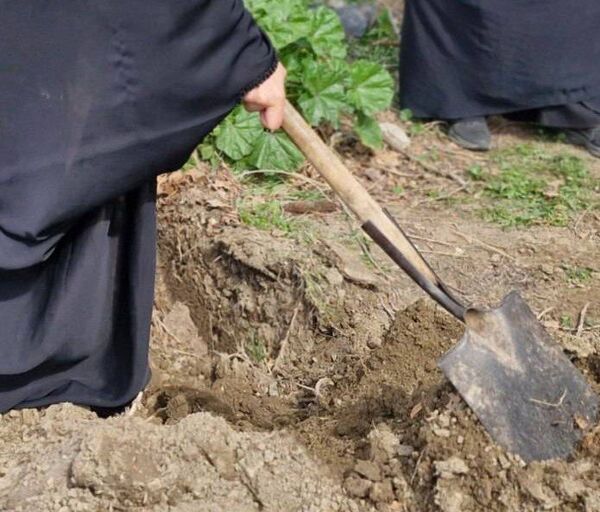 آیین کاشت نهال به نام شهدای دانش‌آموز میناب در کرج 