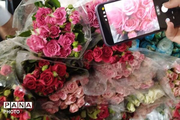 شاخه ای گل؛ هزاران قدردانی
