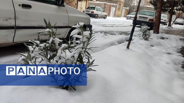 خراسان رضوی به استقبال زمستان رفت