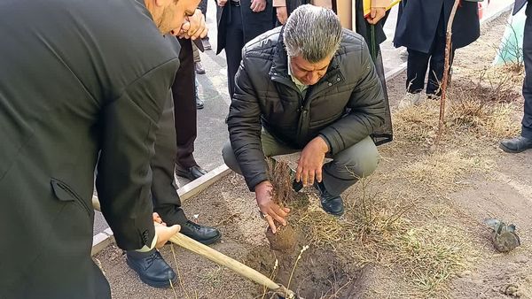 مراسم درخت‌کاری در زنجان