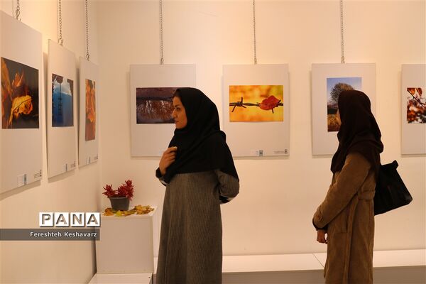 برگزاری نمایشگاه  عصر پاییزی در شیراز