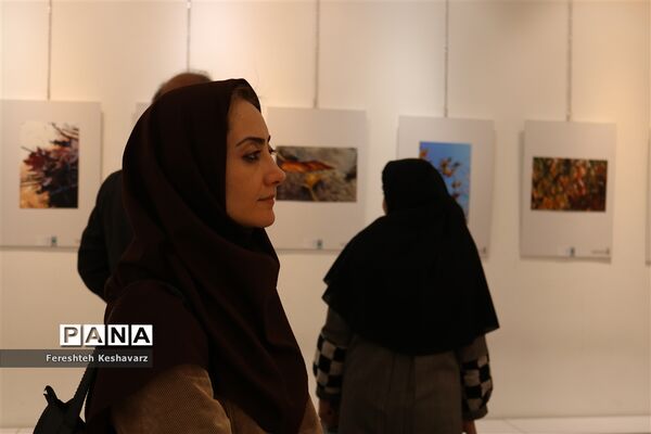 برگزاری نمایشگاه  عصر پاییزی در شیراز