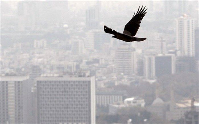 قزوین به نفس نفس افتاد