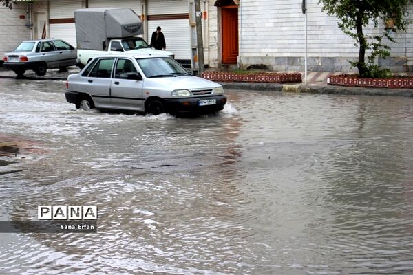 بارندگی امروز در بوشهر