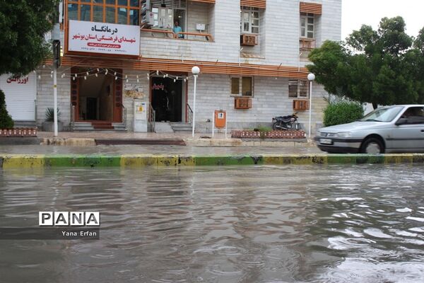 بارندگی امروز در بوشهر