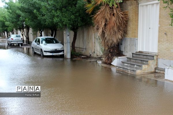 بارندگی امروز در بوشهر