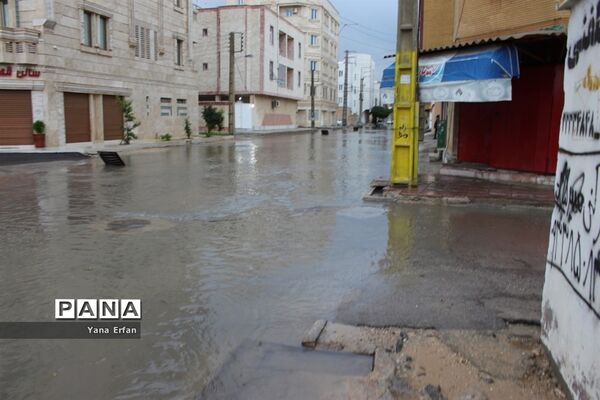 بارندگی امروز در بوشهر
