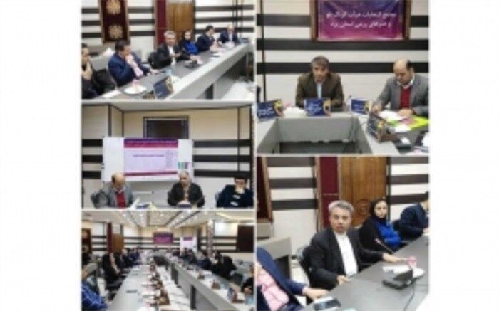رئیس جدید هیات کونگ فو و هنرهای رزمی استان یزد انتخاب شد