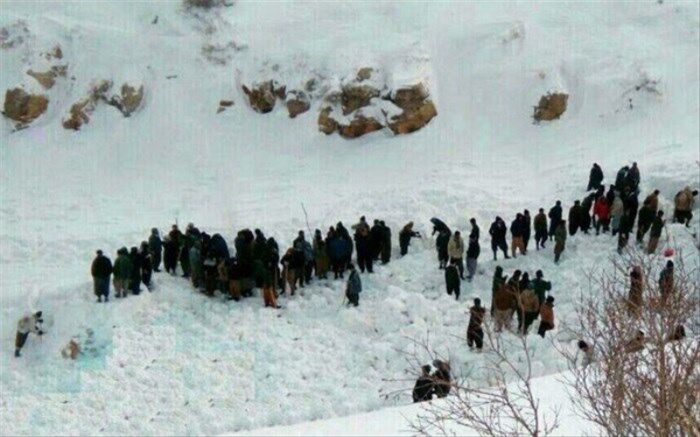 طرح ممنوعیت شلیک مستقیم به کولبران به مجلس می‌ رود