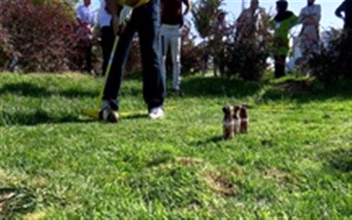 ۲ بانوی گیلانی در شورای فنی وودبال فدراسیون گلف کشور عضوشدند