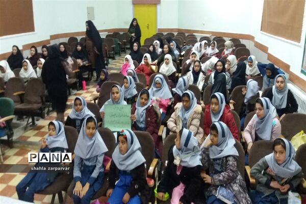برگزاری  المپیاد بازی‌های فکری، سرگرمی رویش در نی ریز
