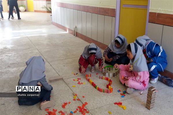 برگزاری  المپیاد بازی‌های فکری، سرگرمی رویش در نی ریز