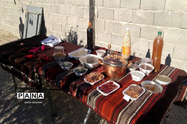 افتتاح مرکز یادگیری محلی شهدای ایلات خمسه اعراب عبدلی  در داراب