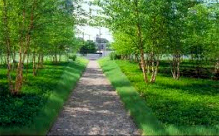 بانک اطلاعاتی فضای سبز استان یزد تهیه می‌شود