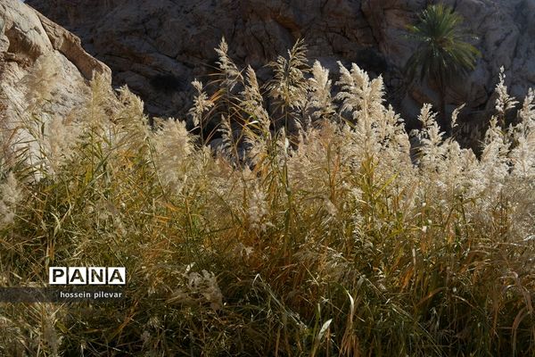 مکان‌های گردشگری روستای ازمیغان در شهرستان طبس