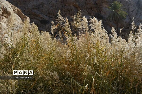 مکان‌های گردشگری روستای ازمیغان در شهرستان طبس