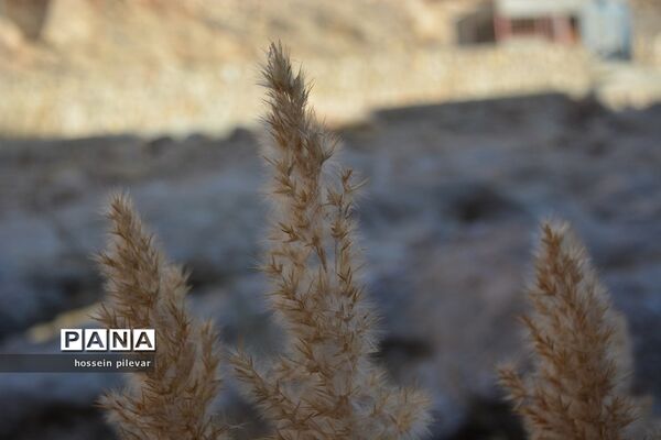 مکان‌های گردشگری روستای ازمیغان در شهرستان طبس