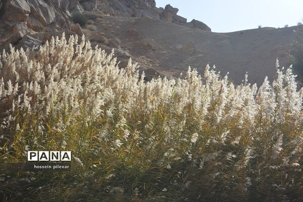 مکان‌های گردشگری روستای ازمیغان در شهرستان طبس