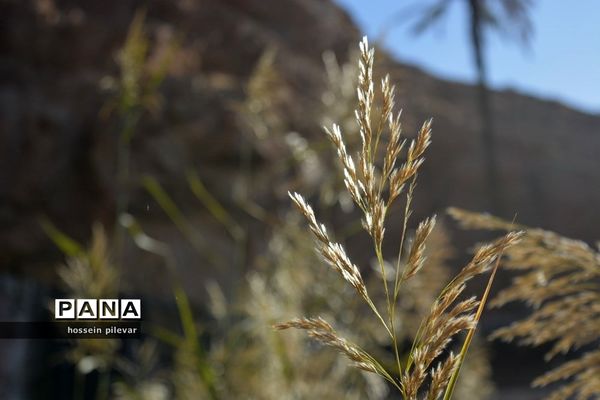 مکان‌های گردشگری روستای ازمیغان در شهرستان طبس