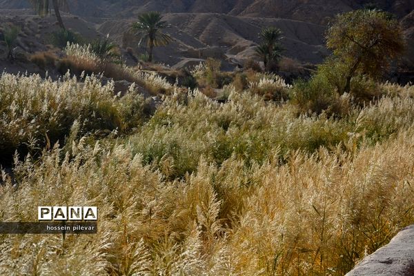 مکان‌های گردشگری روستای ازمیغان در شهرستان طبس