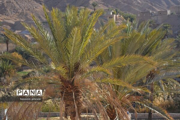 مکان‌های گردشگری روستای ازمیغان در شهرستان طبس