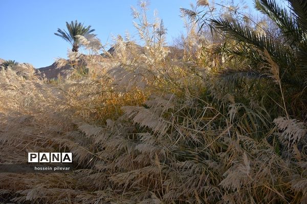 مکان‌های گردشگری روستای ازمیغان در شهرستان طبس