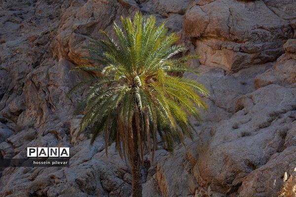 مکان‌های گردشگری روستای ازمیغان در شهرستان طبس