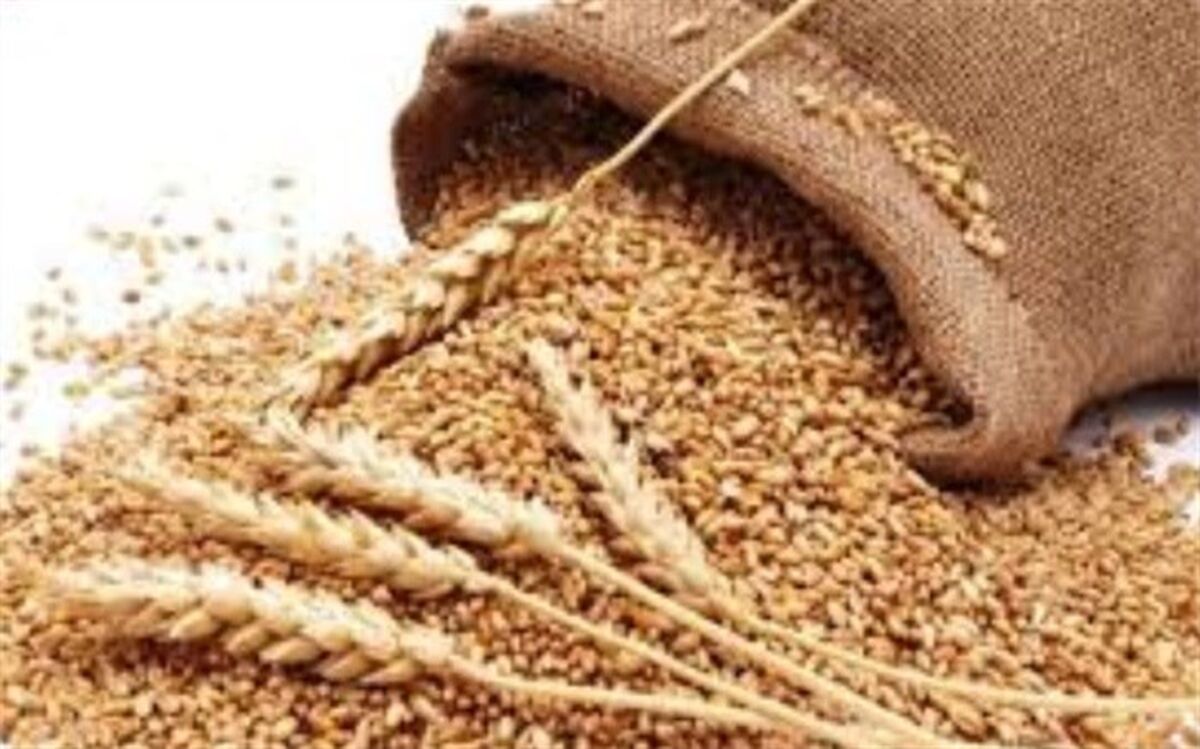 رشد 65 درصدی پرداخت زکات در ابرکوه