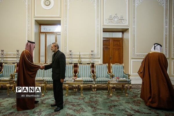 دیدار وزیر امور خارجه قطر با رئیس مجلس