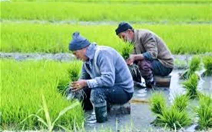 ۱۴.۷میلیارد ریال غرامت سیل، به خسارت دیدگان بخش کشاورزی پرداخت شد