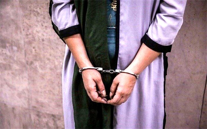سرقت‌های سریالی دختر کمدین از مردان ثروتمند