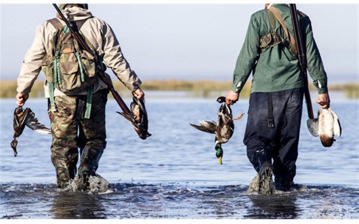 دست شکارچی متخلف به بهشت پرندگان ایران نرسید