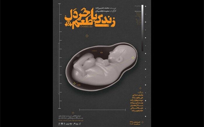پوستر نمایش «زندگی با طعم خردل » رونمایی شد