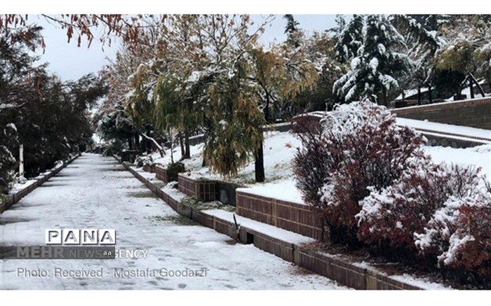 برف و باران در راه است