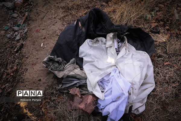 سقوط هواپیمای اوکراینی