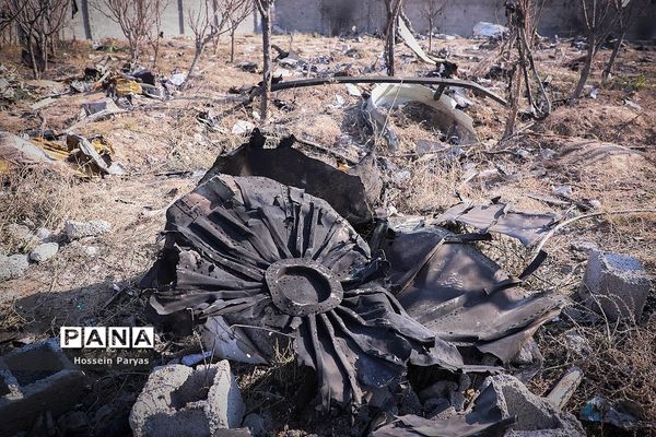 سقوط هواپیمای اوکراینی