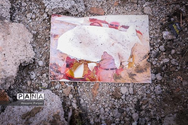 سقوط هواپیمای اوکراینی