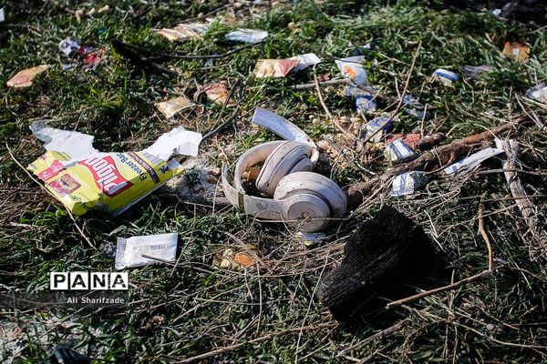 سقوط هواپیمای اوکراینی