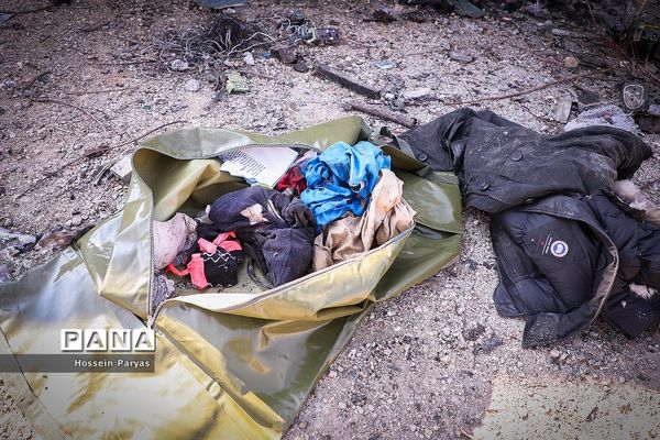 سقوط هواپیمای اوکراینی