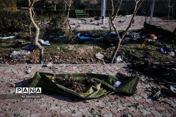 سقوط هواپیمای اوکراینی