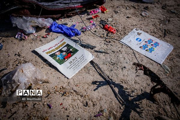 سقوط هواپیمای اوکراینی